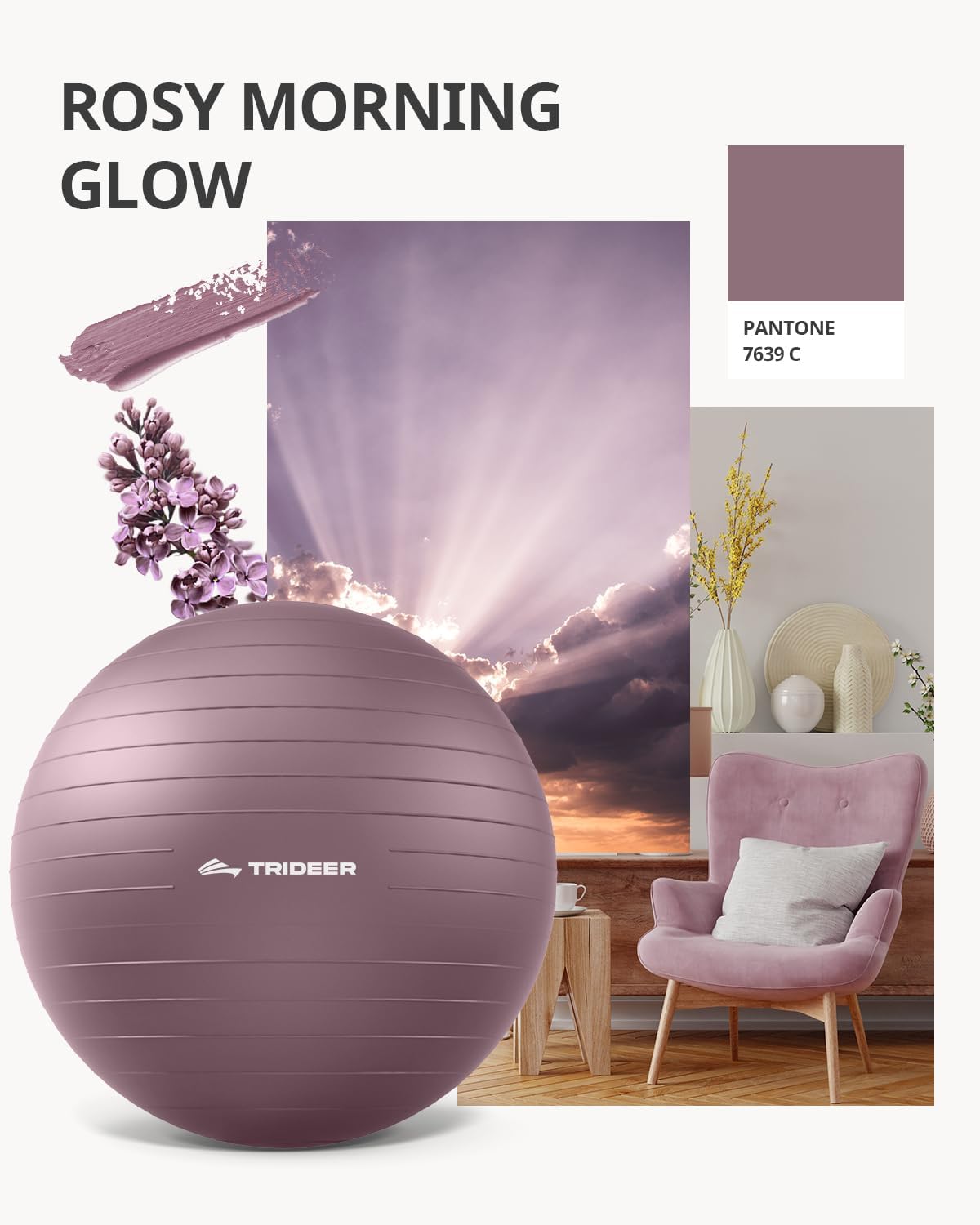 Yoga Ball – Anti-Burst Exercise Ball for Pregnancy, Office, Birthing, Stretching & Core Workout – Home Gym & Therapy